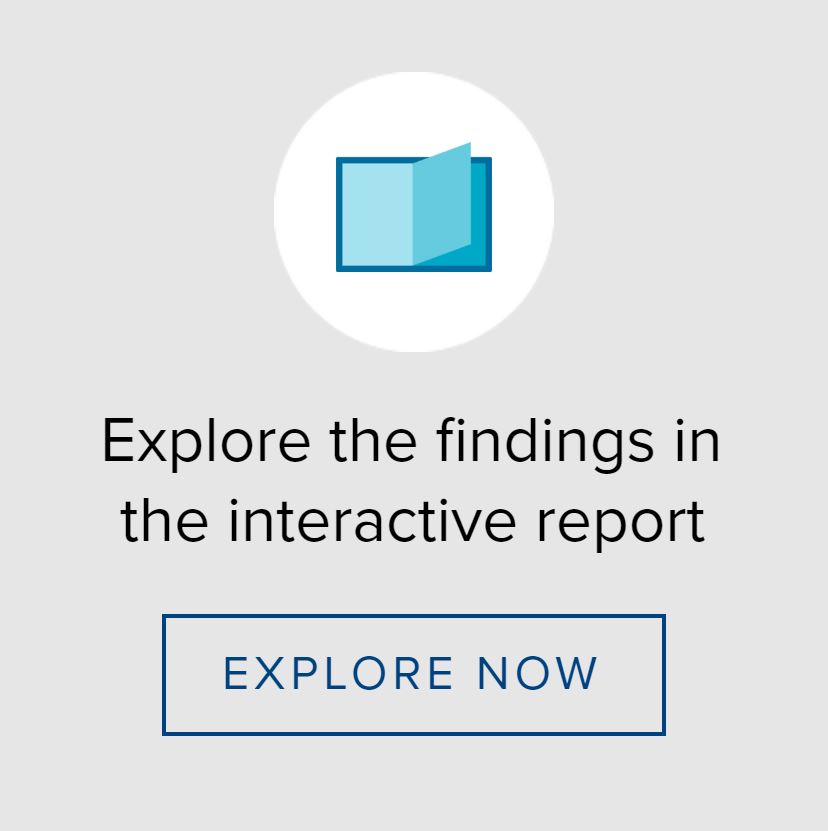 Interactive report